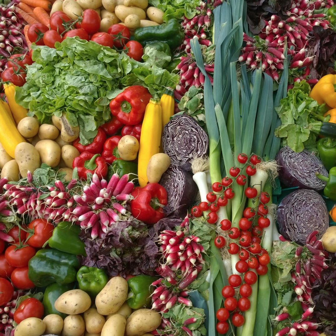 Real Food for Real Health